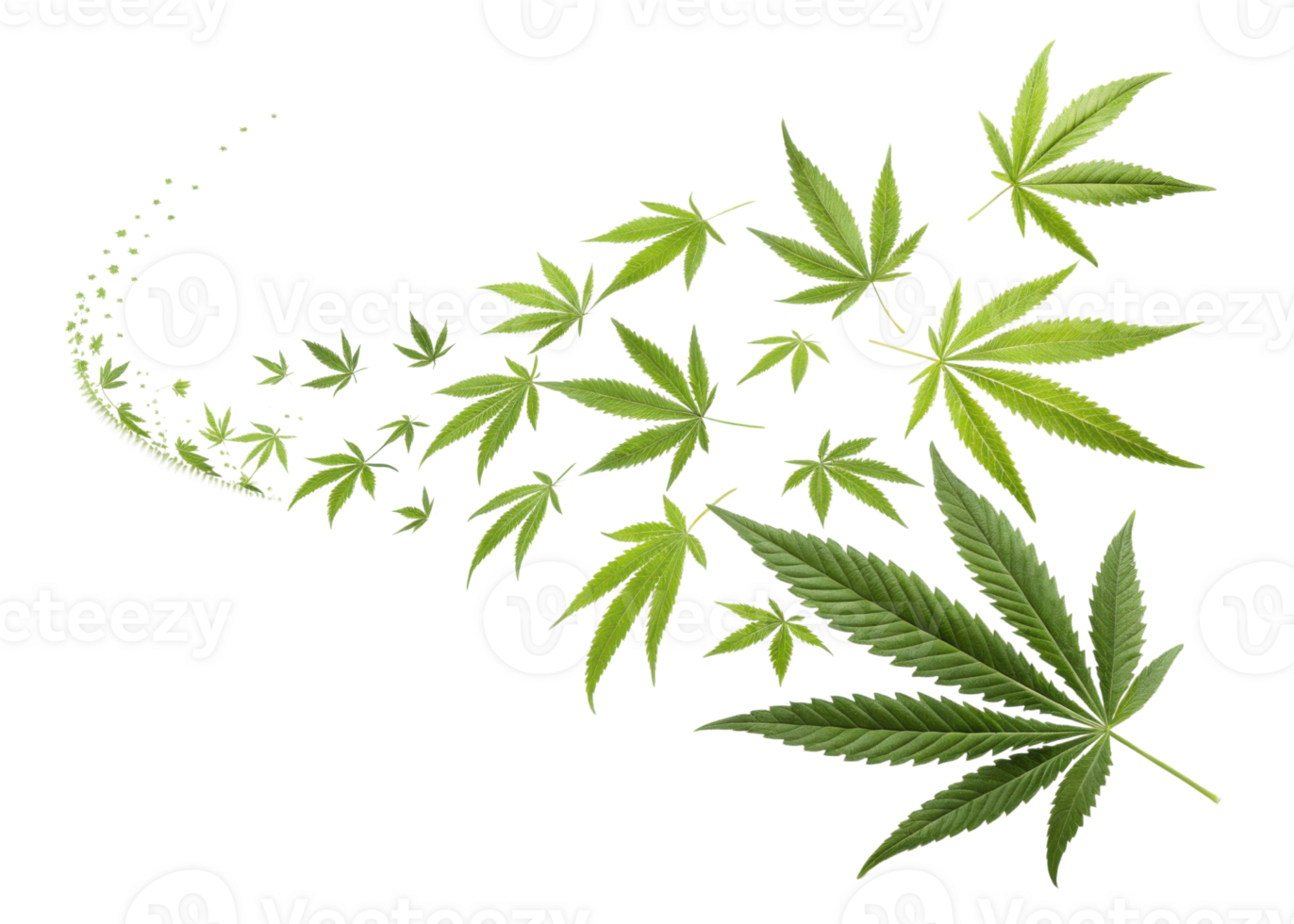 Swirling pattern of green cannabis leaves creates dynamic and natural visual flow with vibrant leaf details and fresh green tones png