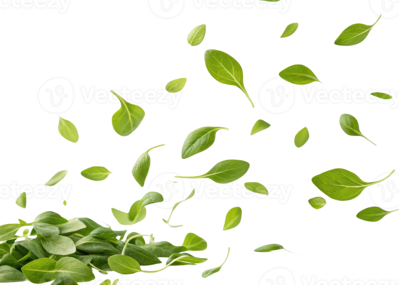 Fresh chickweed leaf flying in air with vibrant green color and natural texture creating lively and refreshing atmosphere in image png