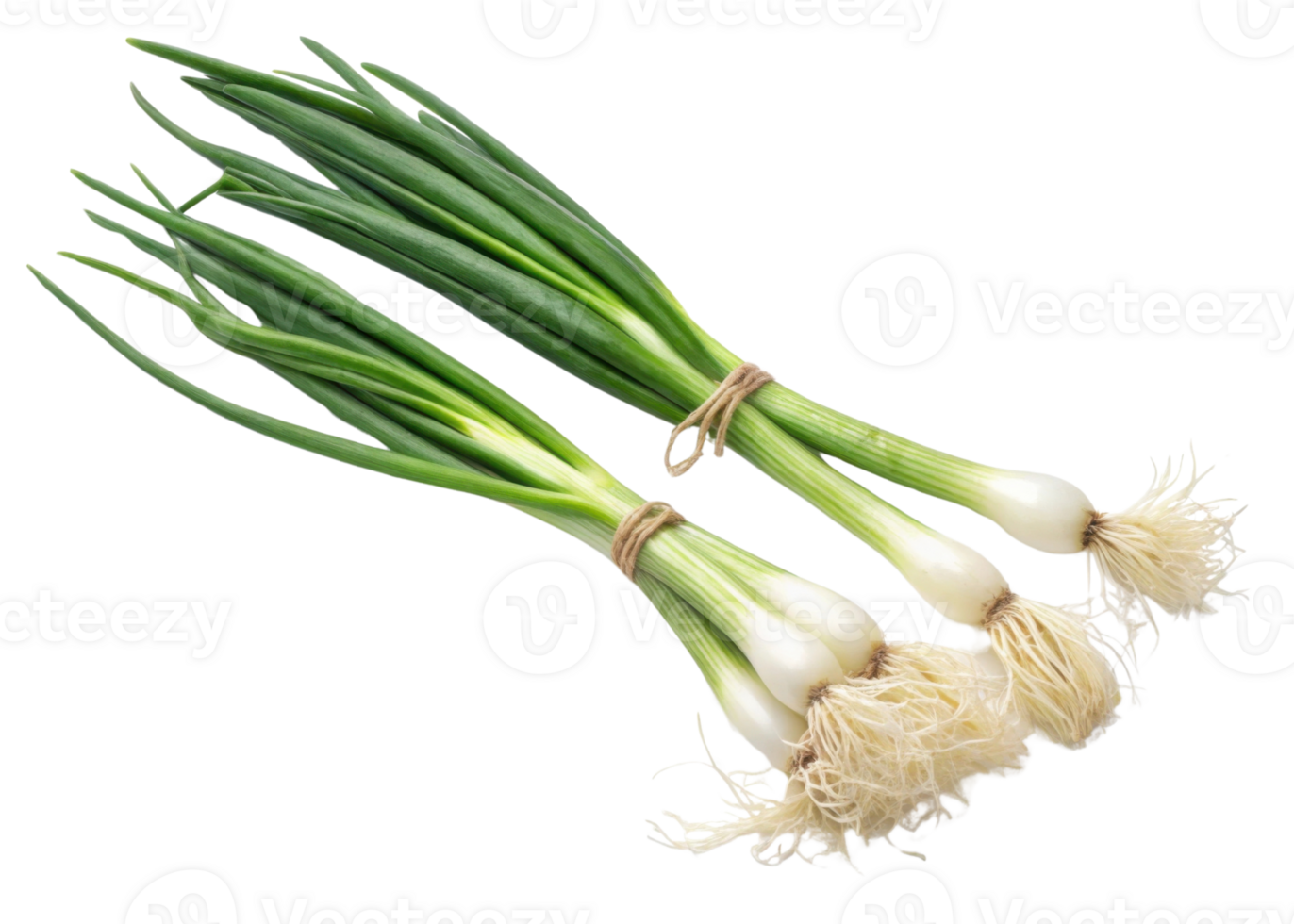 Fresh spring onion bundles with vibrant green leaves and white bulbs tied with string for natural and healthy cooking ingredient png