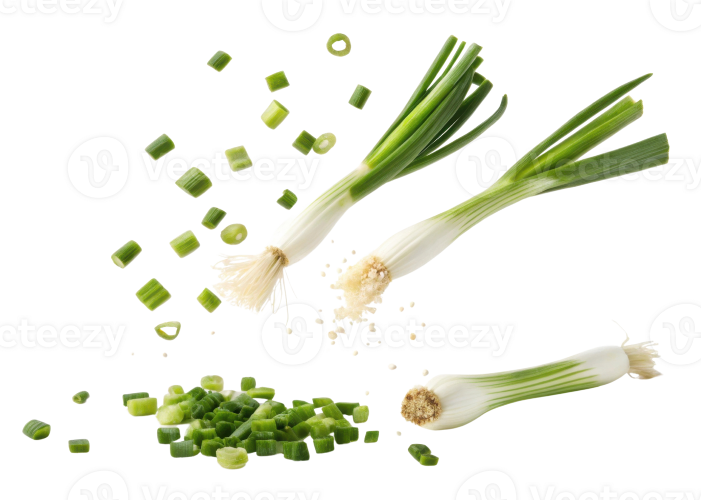 Fresh spring onion with green leaves and white bulbs whole and sliced isolated on transparency background png