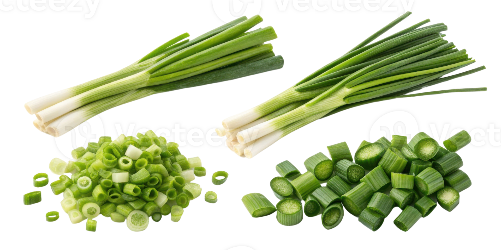 Fresh spring onion whole and chopped in various sizes with vibrant green leaves and white bulbs for cooking and garnish png