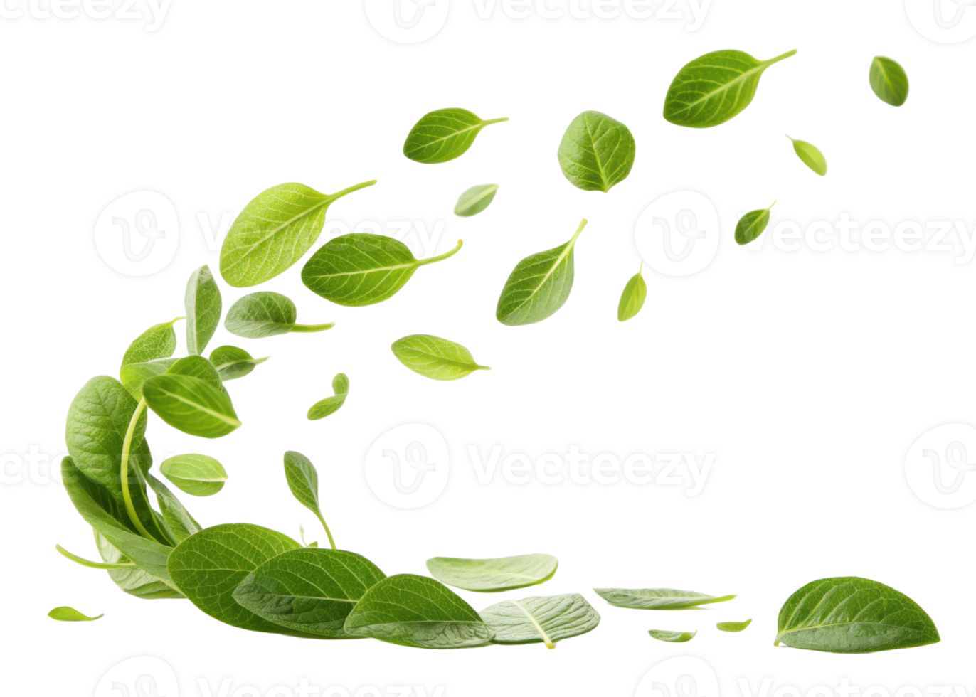 Fresh green wasabi leaf swirling in air with natural texture and vibrant color creating lively and refreshing atmosphere in image png