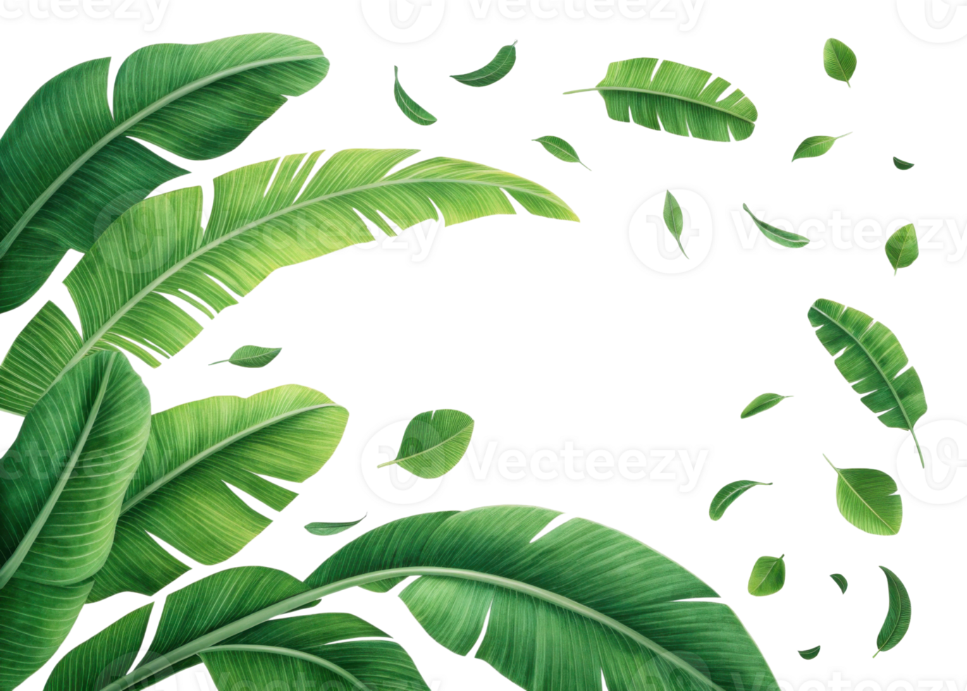 Tropical banana leaf design with vibrant green leaves scattered in natural pattern creating fresh and lively atmosphere for various uses png