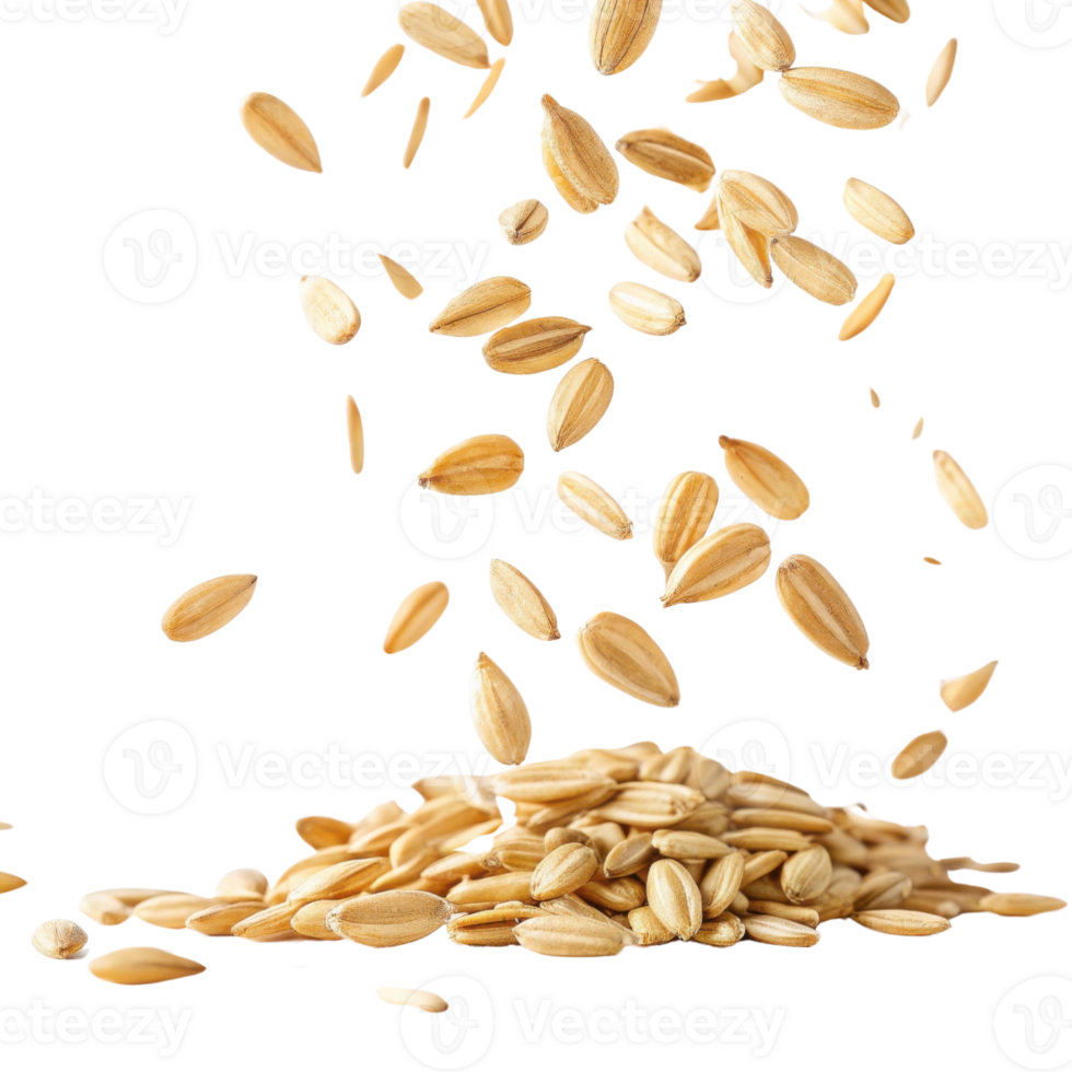 Instant oat grains falling in cutout style isolated on transparency background with natural texture and healthy food concept for design png