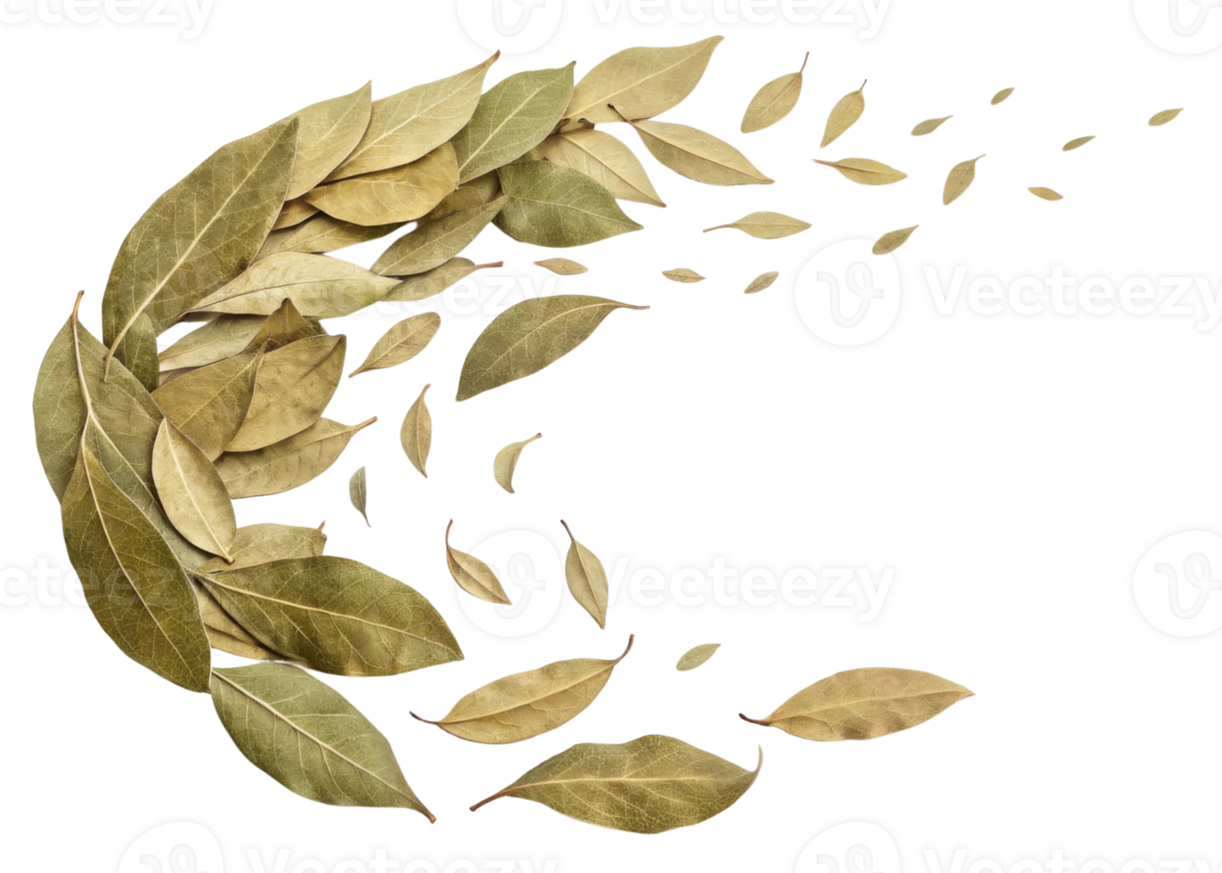Dry bay leaf leaves flying in air with natural brown color and texture creating beautiful organic pattern png