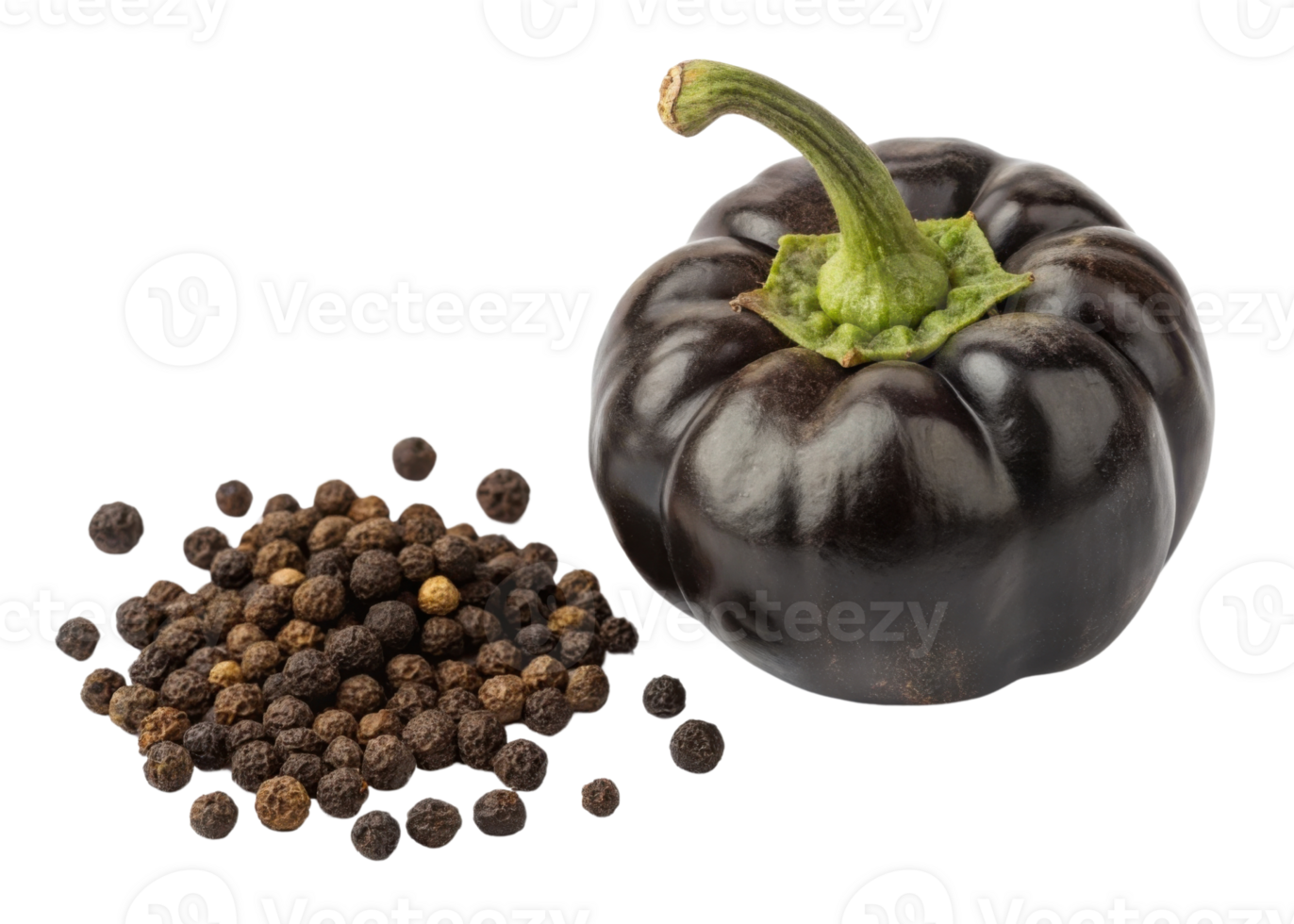 Black peppercorn and fresh black bell pepper with green stem isolated on white cutout background png