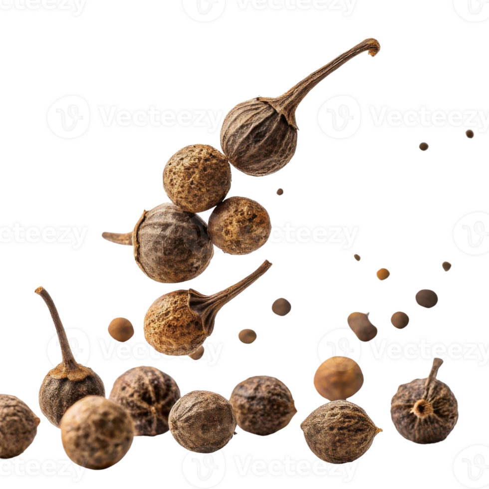 Peppercorn cutout isolated spice seasoning dried ingredient natural flavor brown png