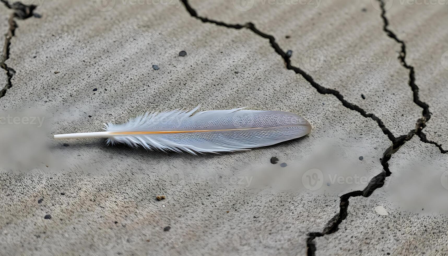 A feather laying on the ground in a crack photo
