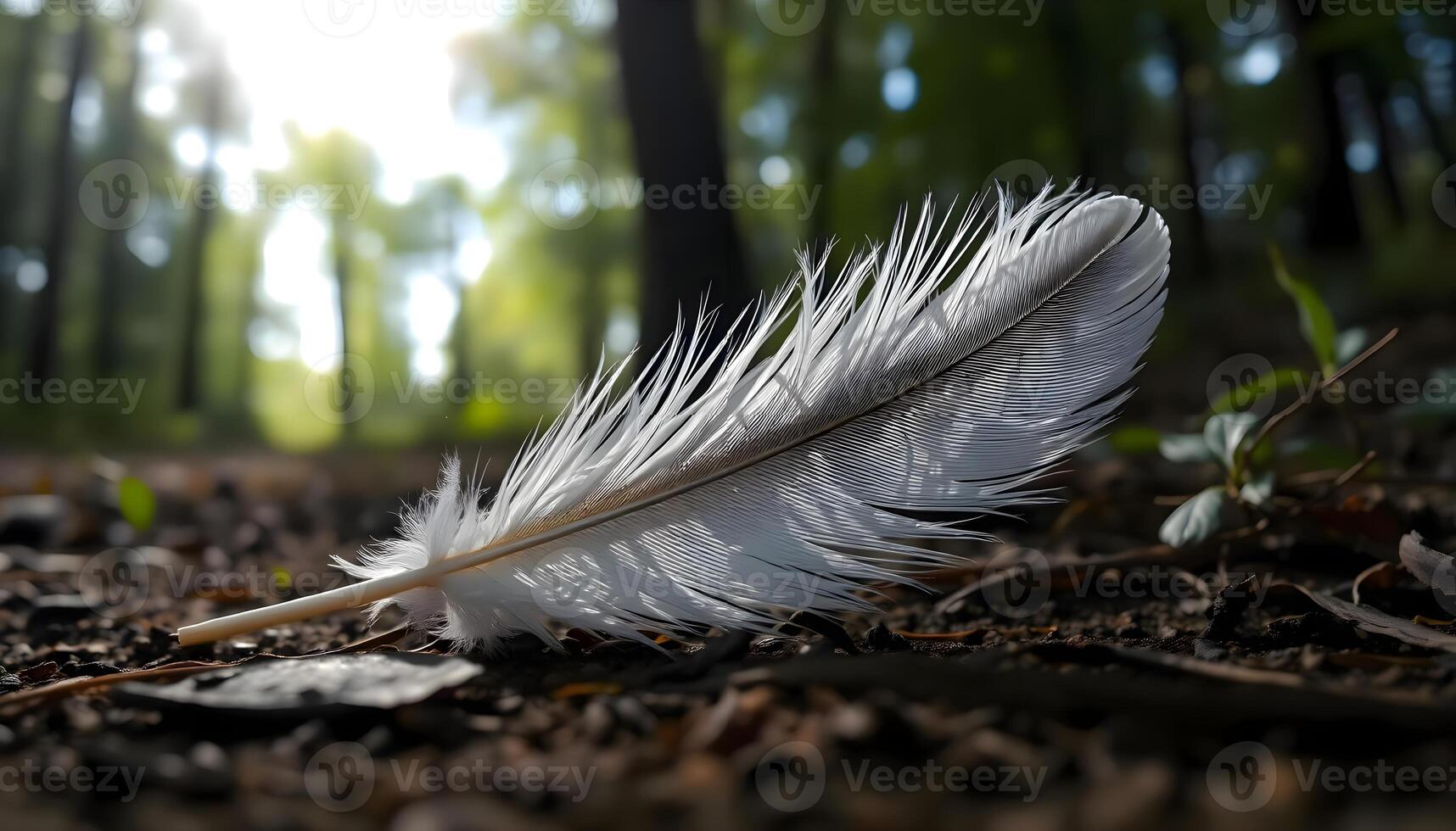 A white feather laying on the ground in the woods photo