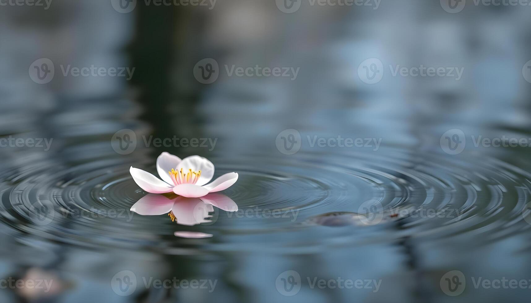 a pink flower floating on top of a body of water photo