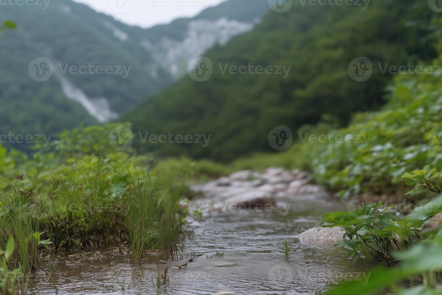 Mountain river flowing through the green forest. close up, blurred background, photo
