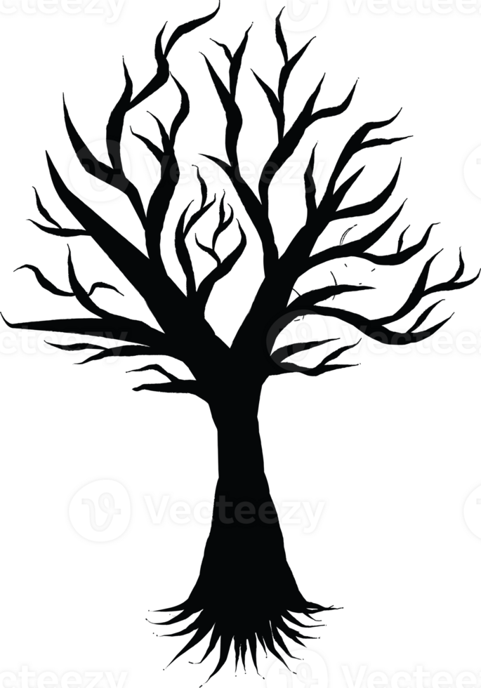 Silhouette of a Bare Winter Tree with Branches and Roots png