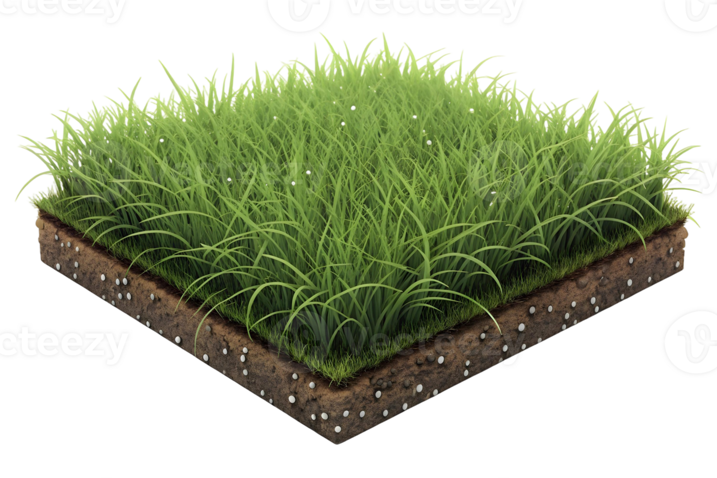 A square section of grass and soil shows the roots and the healthy green blades of grass above ground png