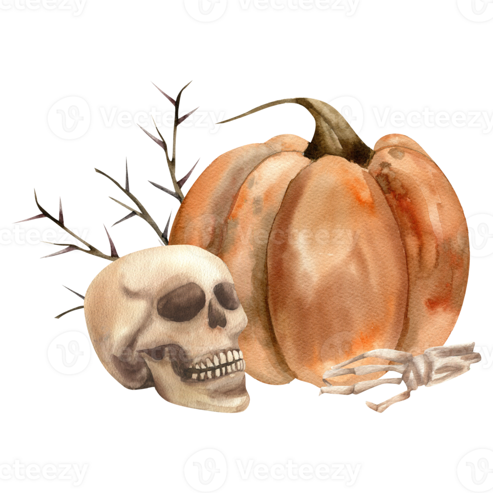 Halloween scary composition with orang pumpkin, skull and dead hand with floral watercolor illustration. Hand drawn spooky clipart, gothic and esoteric theme painting for poster, card,label, design png
