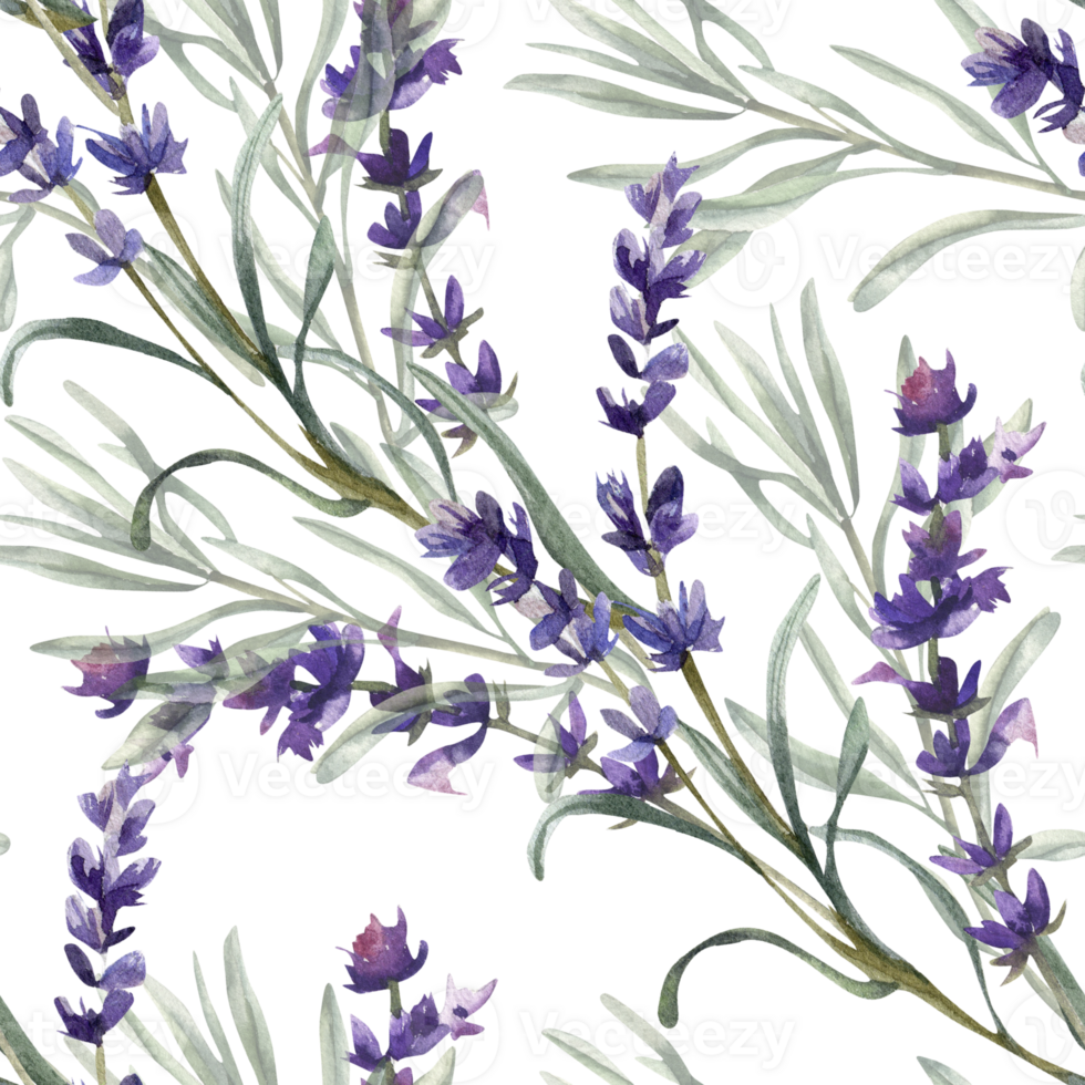 Lavender flower sprig with green leaves watercolor seamless pattern. Hand drawn floral background with violet field flowers and herbs, romantic elegant clipart for fabric, textile, wallpaper design png