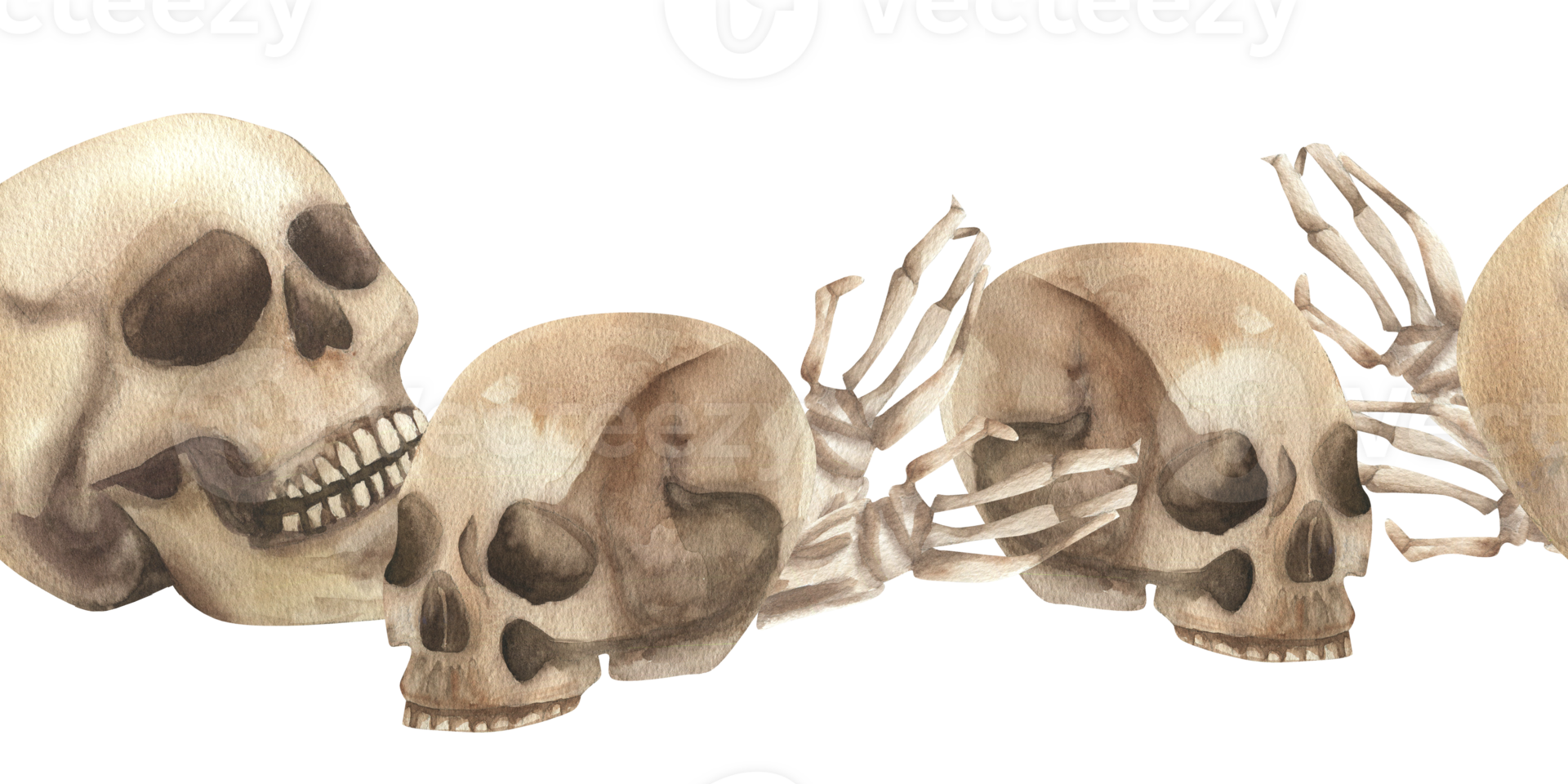 Halloween scary seamless border with human skulls and hand bones watercolor illustration. Hand drawn creepy banner with skeleton parts for gothic, esoteric poster, packing design png