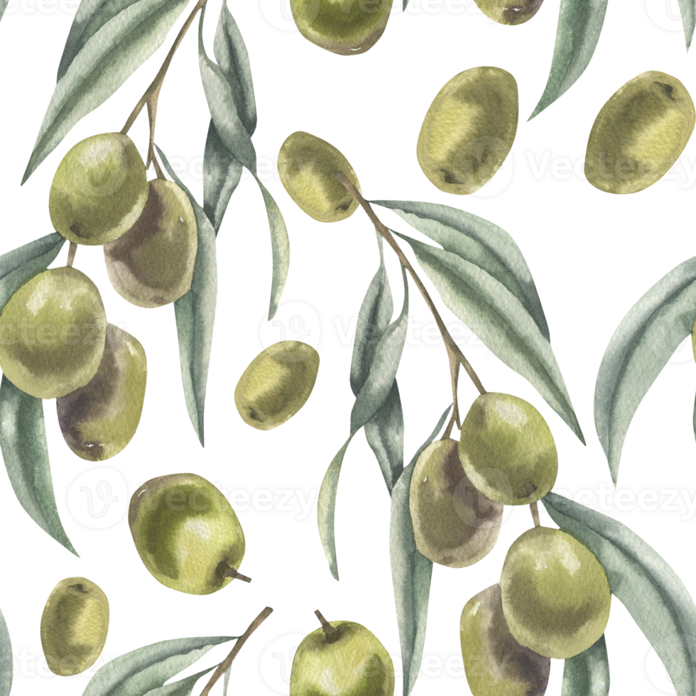 Olives floral seamless pattern with watercolor branches with green fruits illustration. Hand drawn botanical background with Greek vegan food and salad ingredient for textile, fabric design png