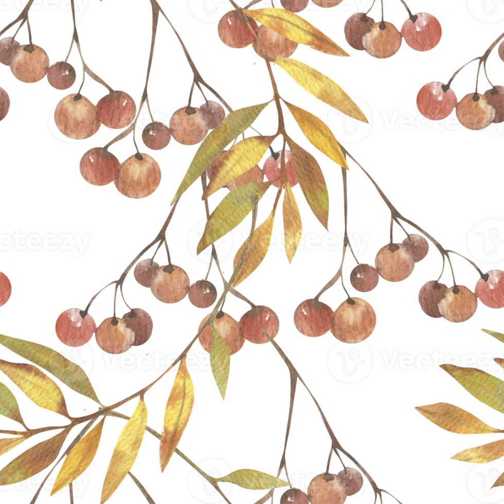 Autumn floral pattern with red berries and colorful leaves. Seamless background with forest elements, natural clipart for textile, fabric, packing design png