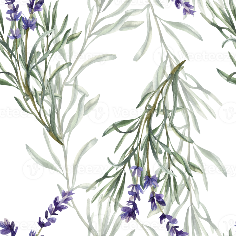 Violet lavender flowers watercolor seamless pattern. Floral hand drawn background with wild field floral elements, romantic purple clipart for textile, fabric, summer packing design png