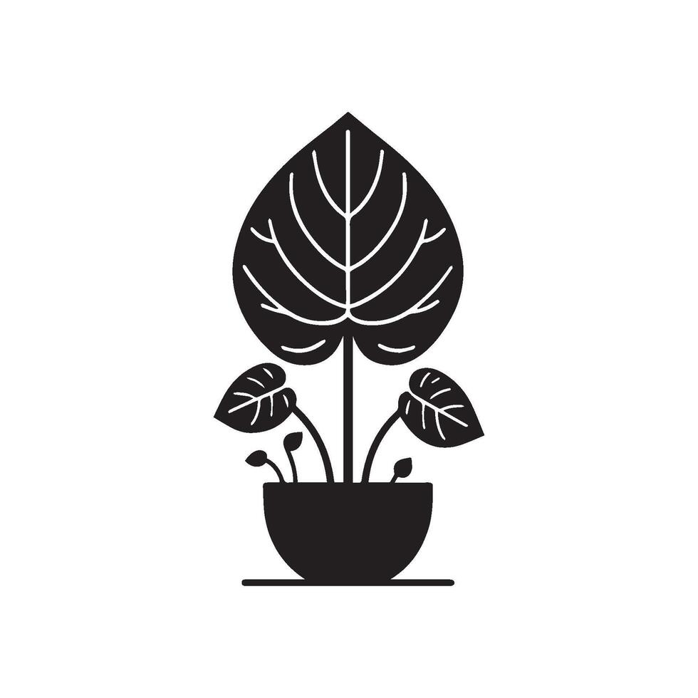 Simple caladium plant silhouette. Caladium plant icon isolated on flat background vector
