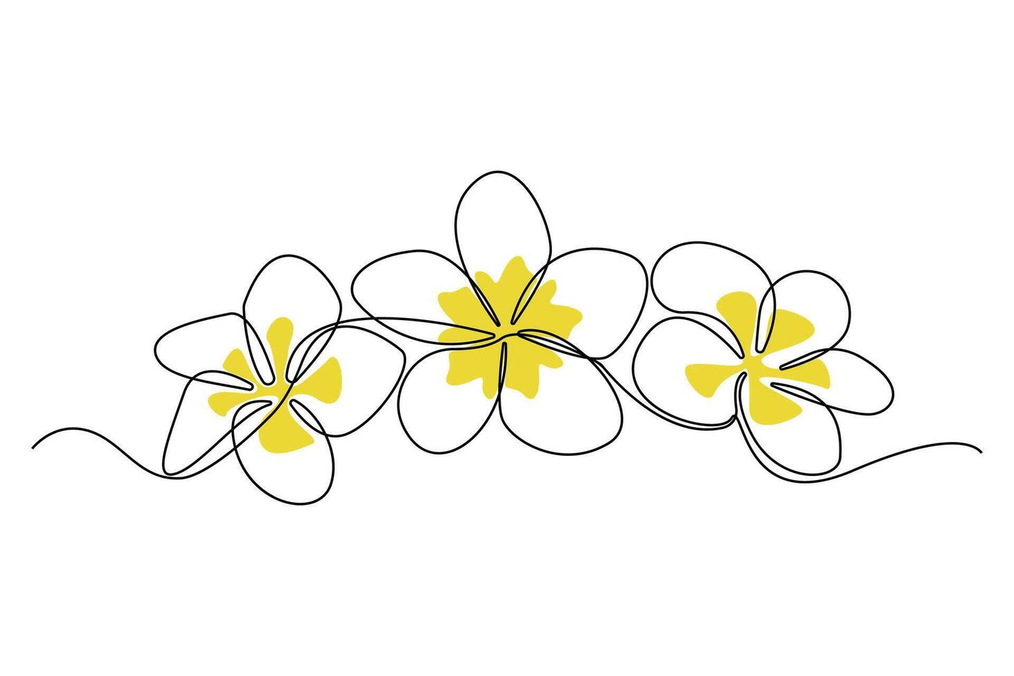 Continuous single-line art drawing of plumeria flowers. Decorative plumeria flowers line art background vector