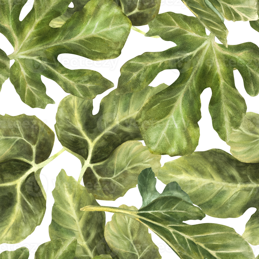Green fig leaves of different shapes seamless pattern. Realistic watercolor plant botanical repeating design for fabric, wallpaper, packaging, textile Hand drawn illustration Isolated from background png