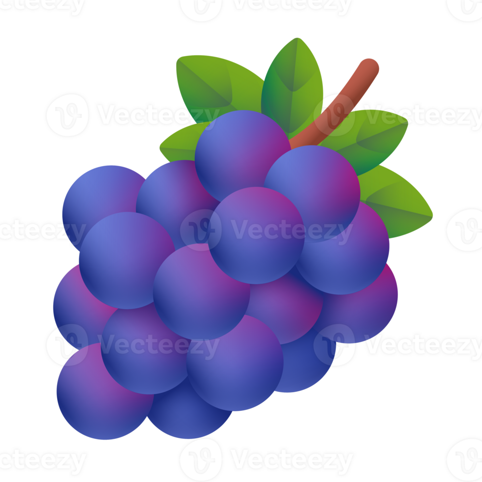 illustration of grapes with leaves png