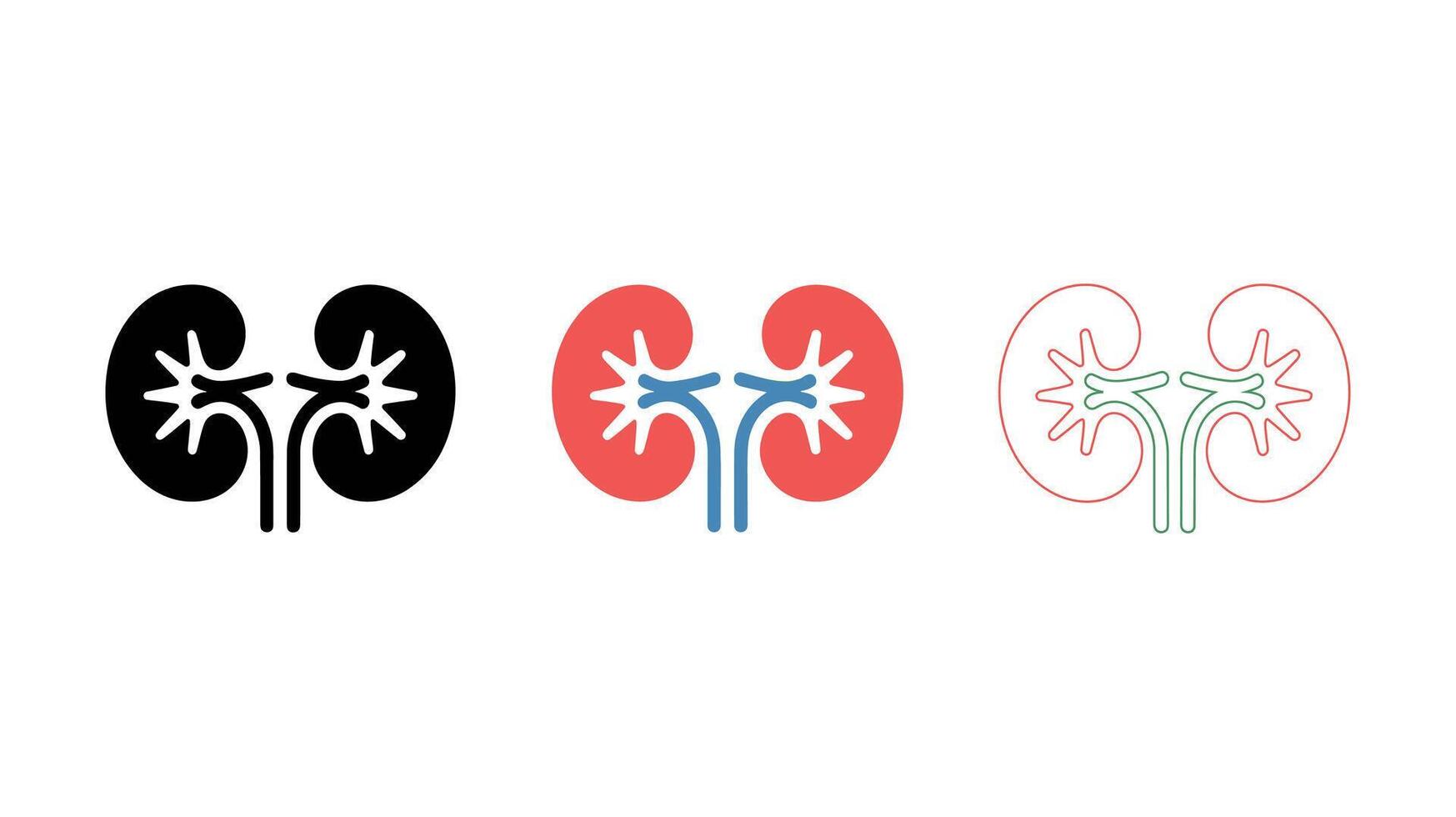 Kidney Icons A set of kidney icons in black, red, and outline styles, representing the organ's vital role in human health. vector