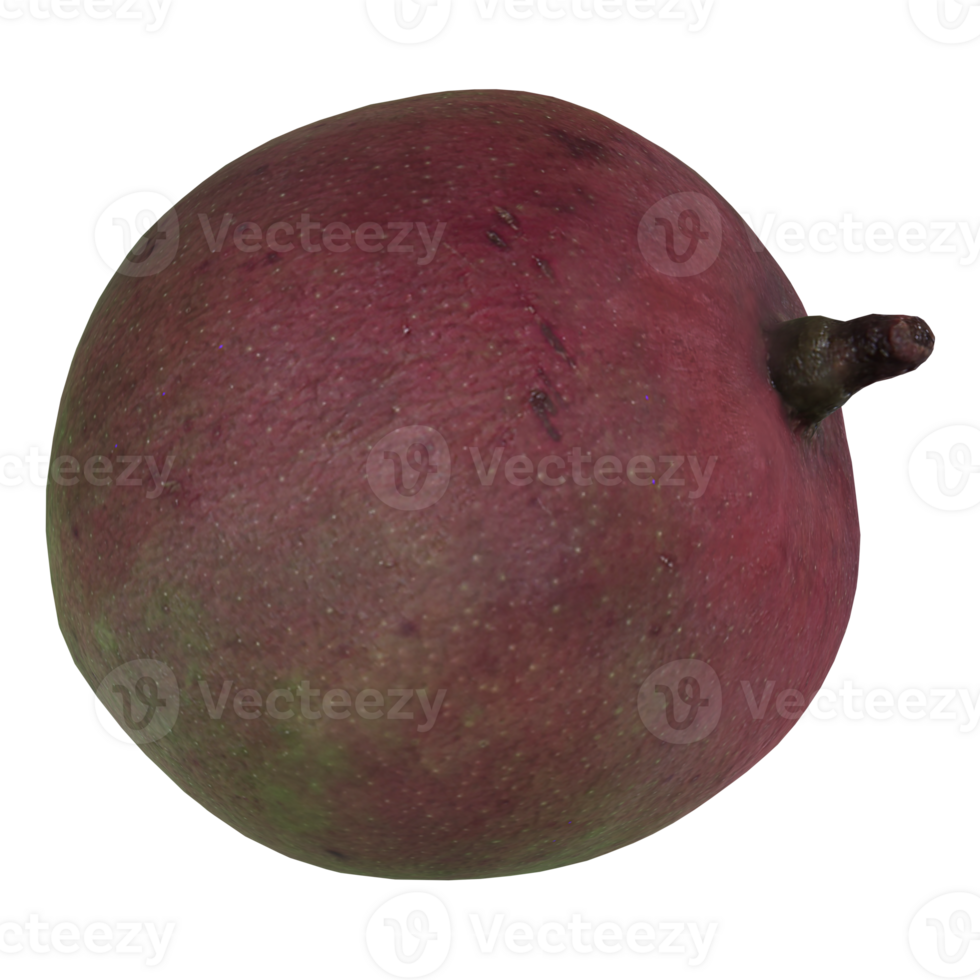 Red fruit isolated on transparent png