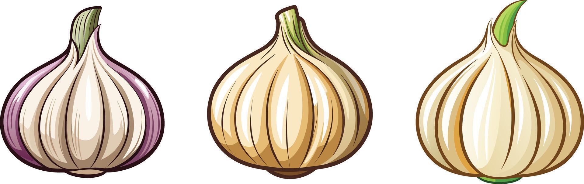 Three different types of onions on a white background vector
