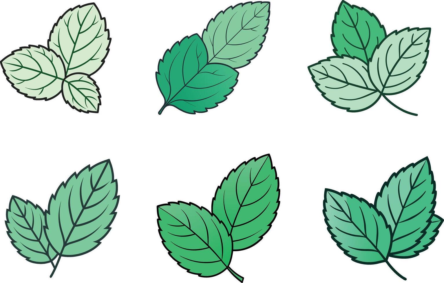 A set of four different types of green leaves vector