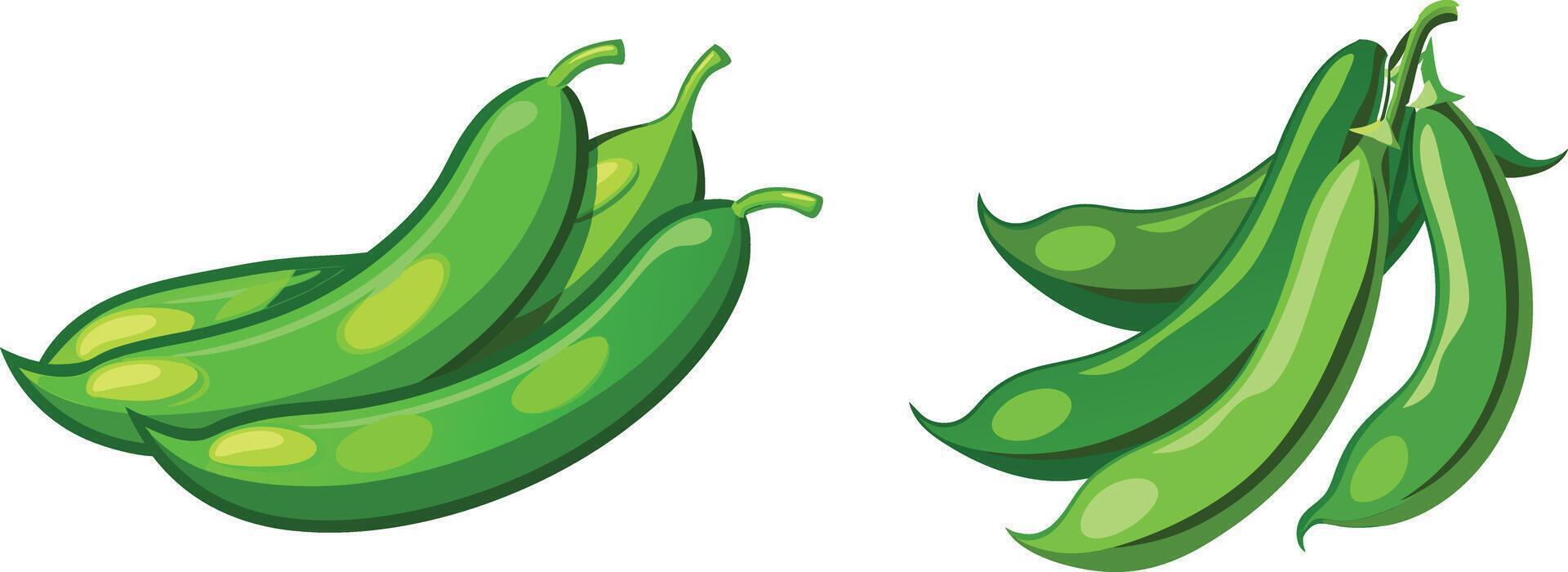 Two peas are shown on a white background vector