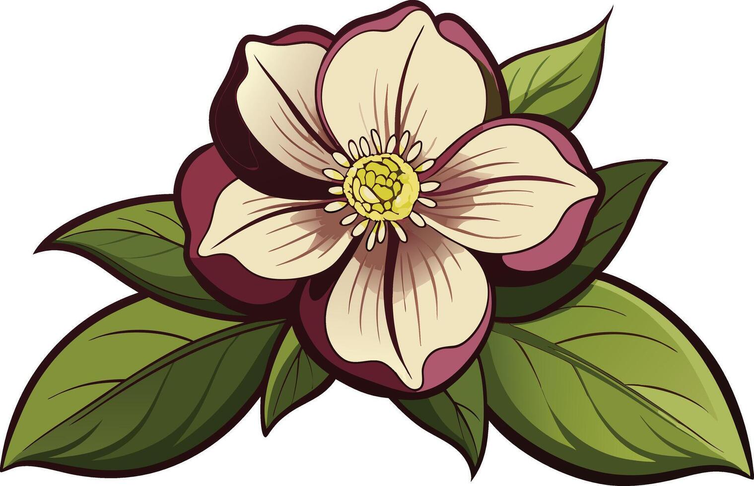 A flower with leaves and petals vector