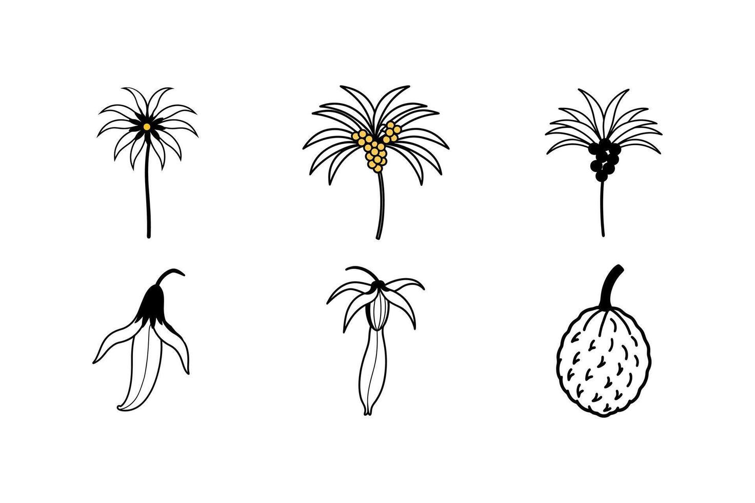 Coconut Date Palm Banana Jackfruit Flower vector