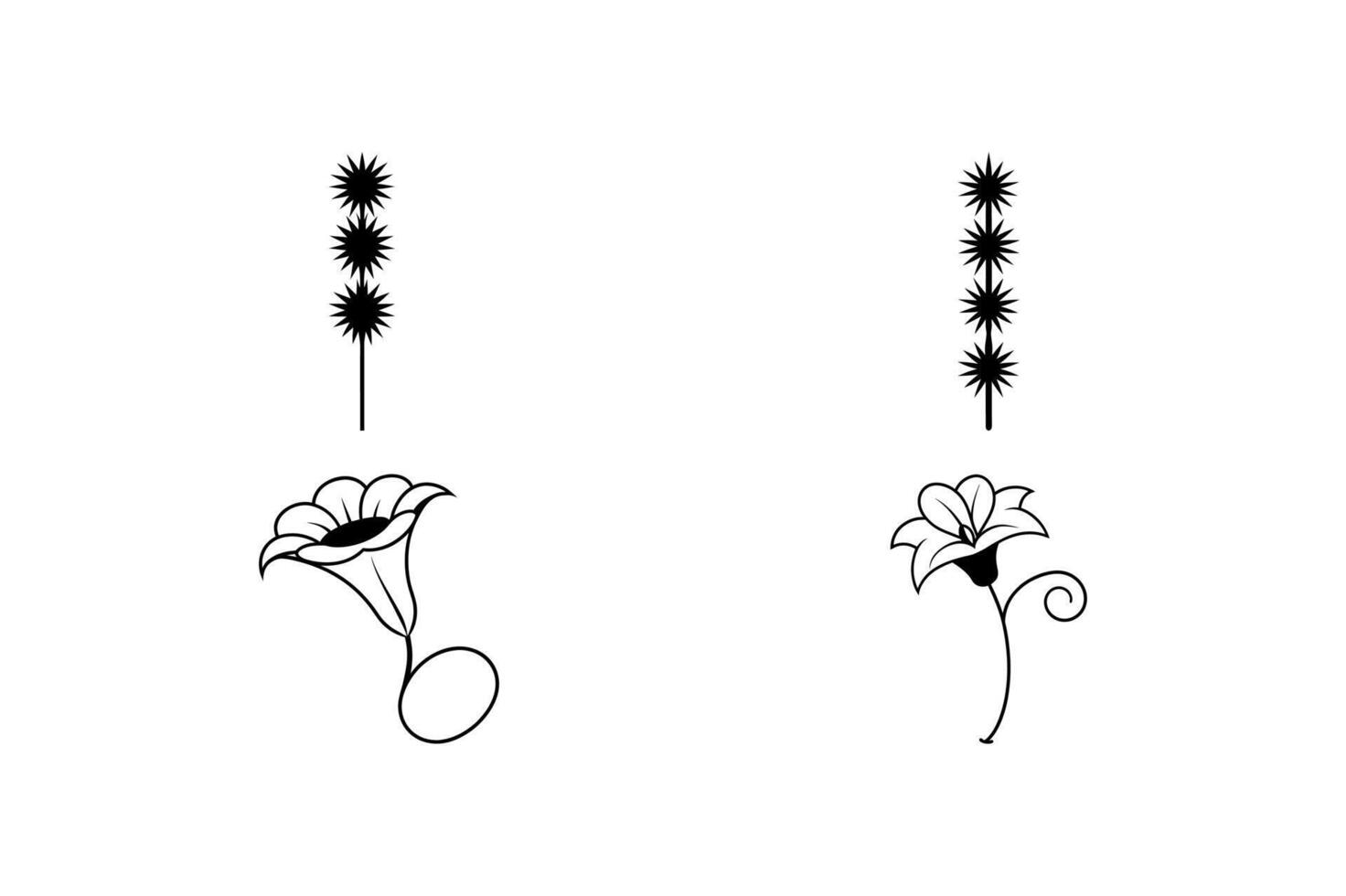 Blazing Star Four O Clock Floral Design vector