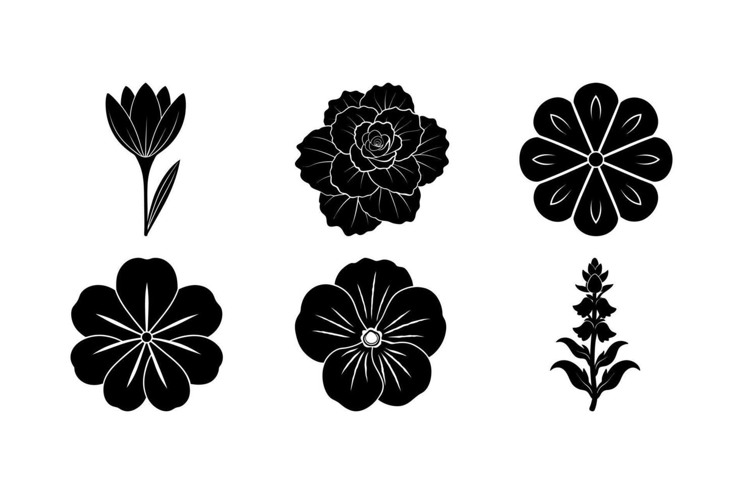 Begonia Geranium Pansy Snapdragon Floral Design vector