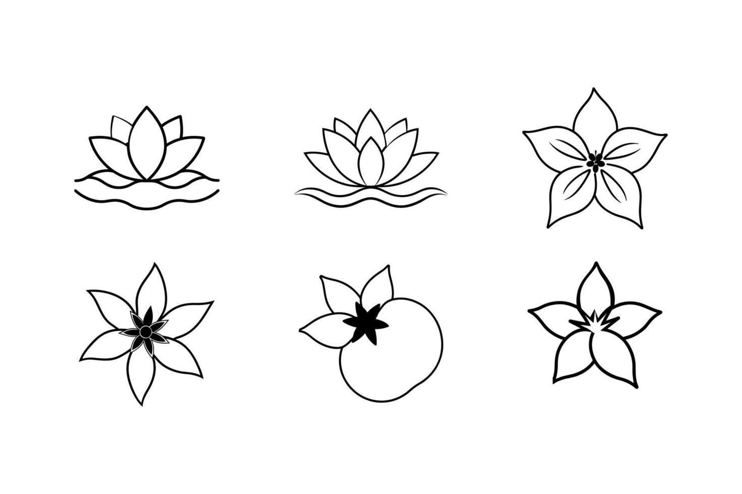 Lotus Papaya Tomato Floral Art vector