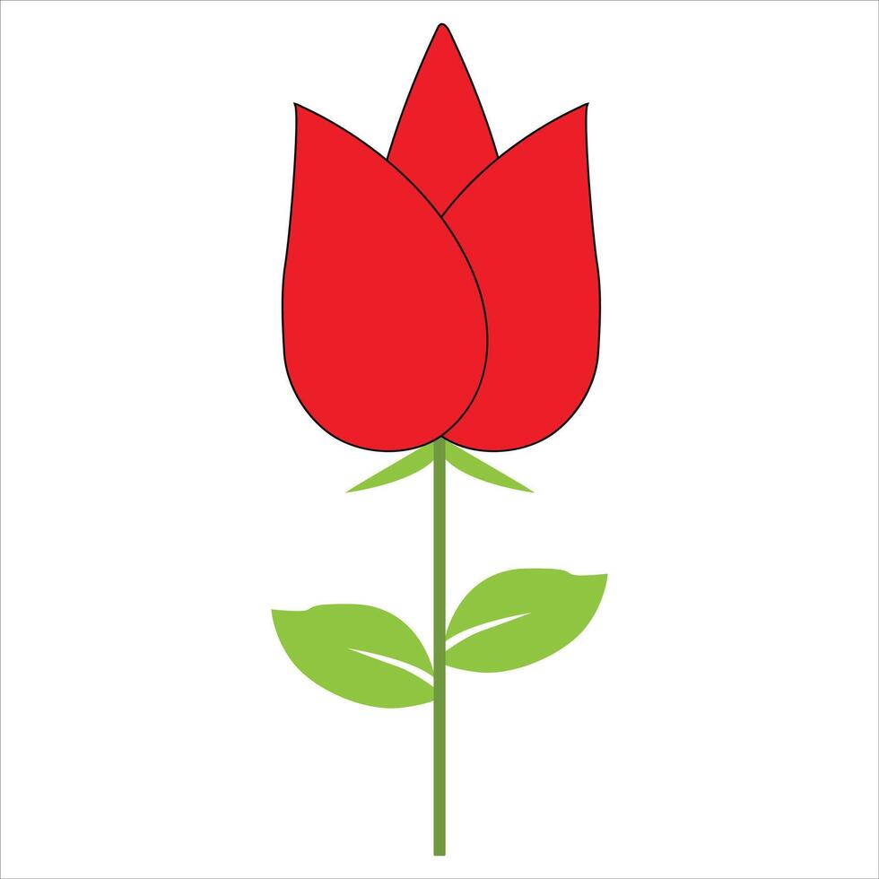 red rose on white background vector