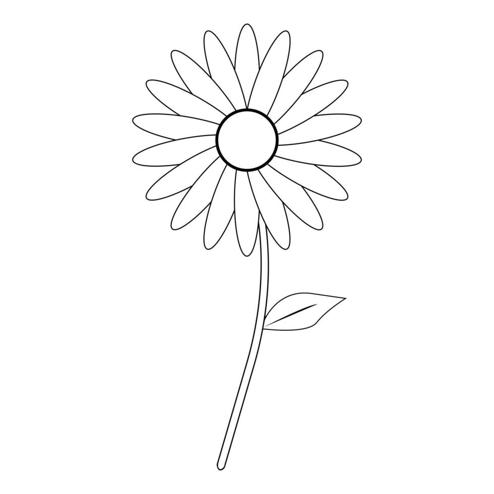 sunflower liner illustration vector