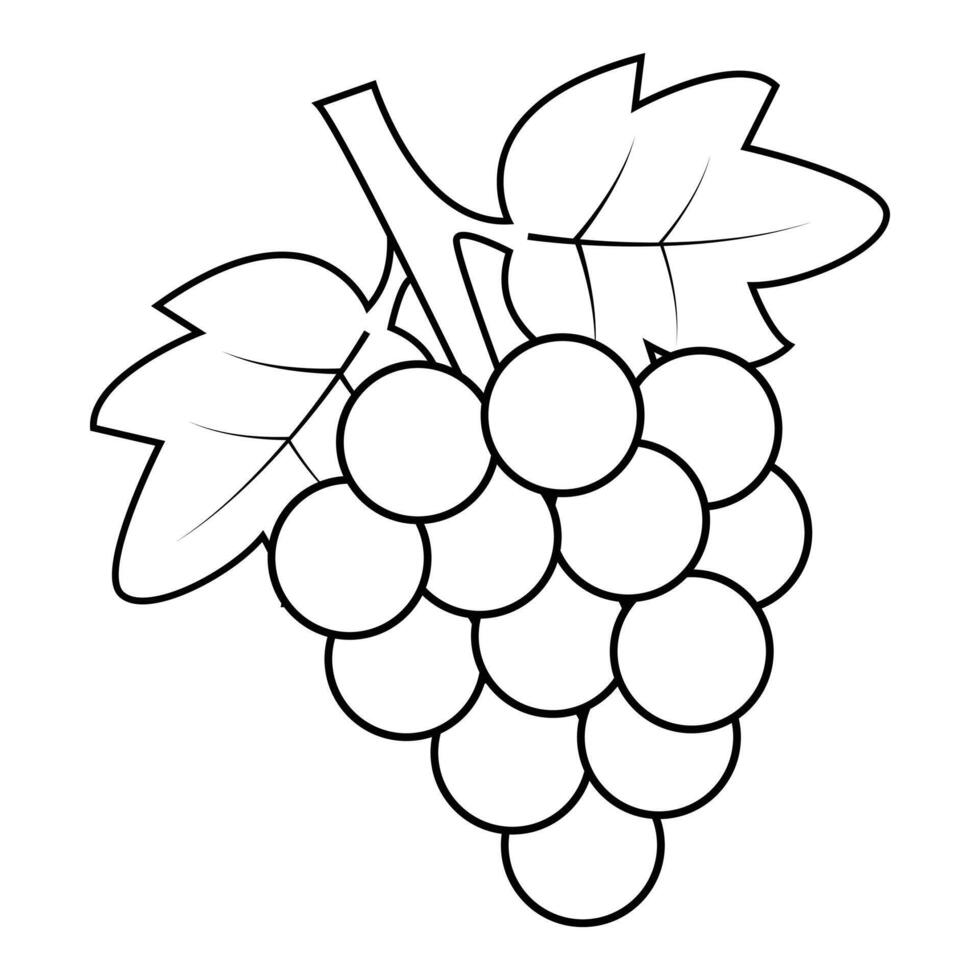 Grape icon flat and linear Illustration vector
