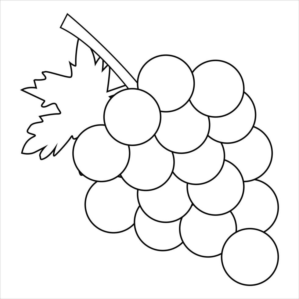 illustration of grapes vector