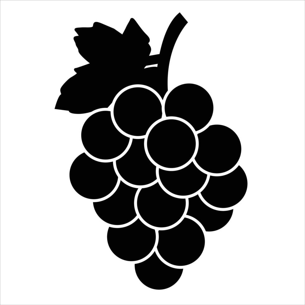 grapes Illustration on white background vector