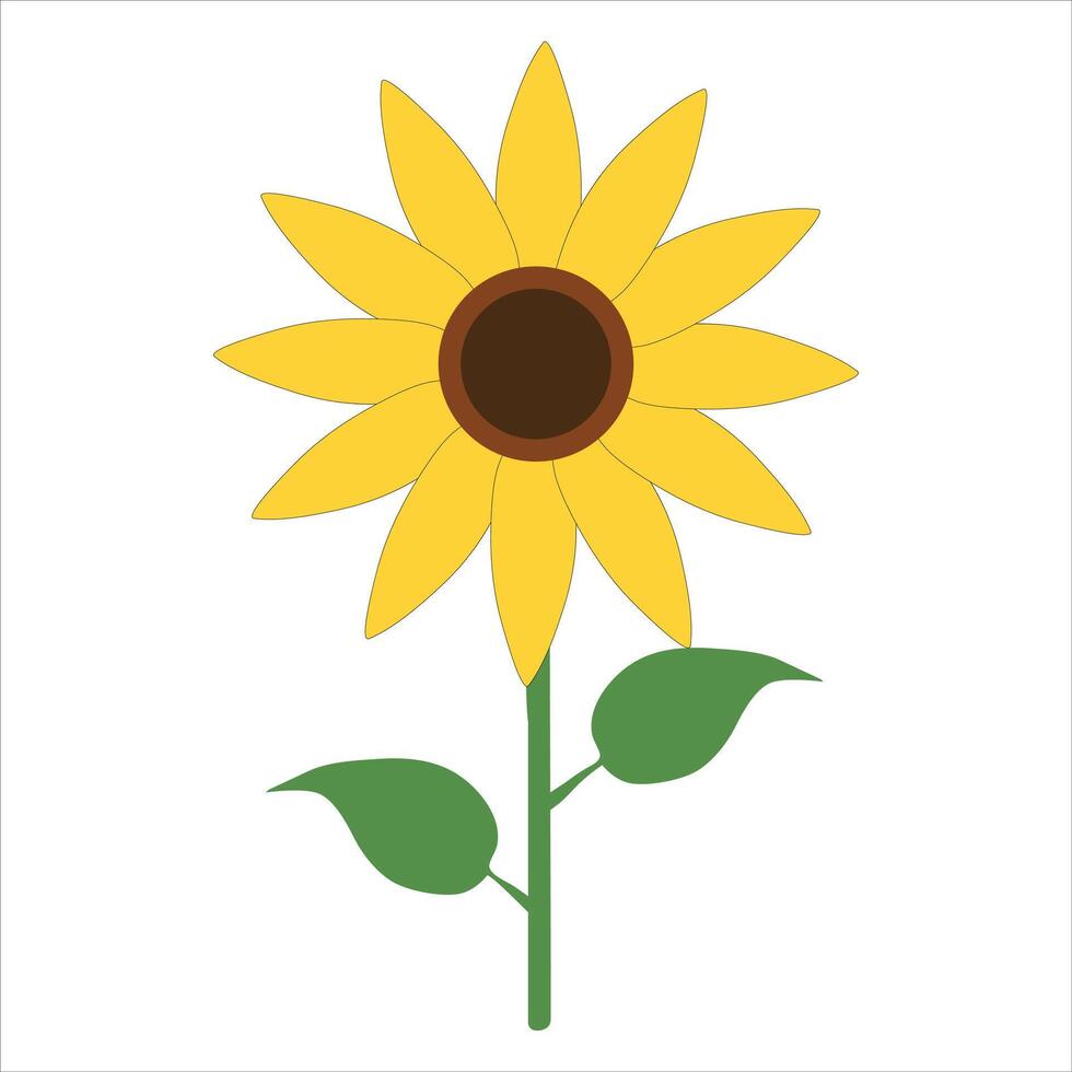 Colorful sunflower illustration vector