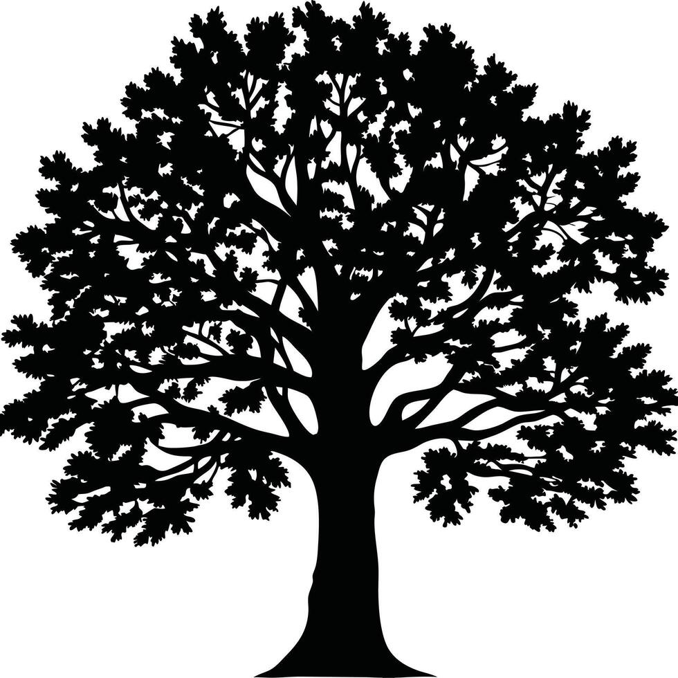 Silhouette of a majestic oak tree with dense foliage isolated on white vector