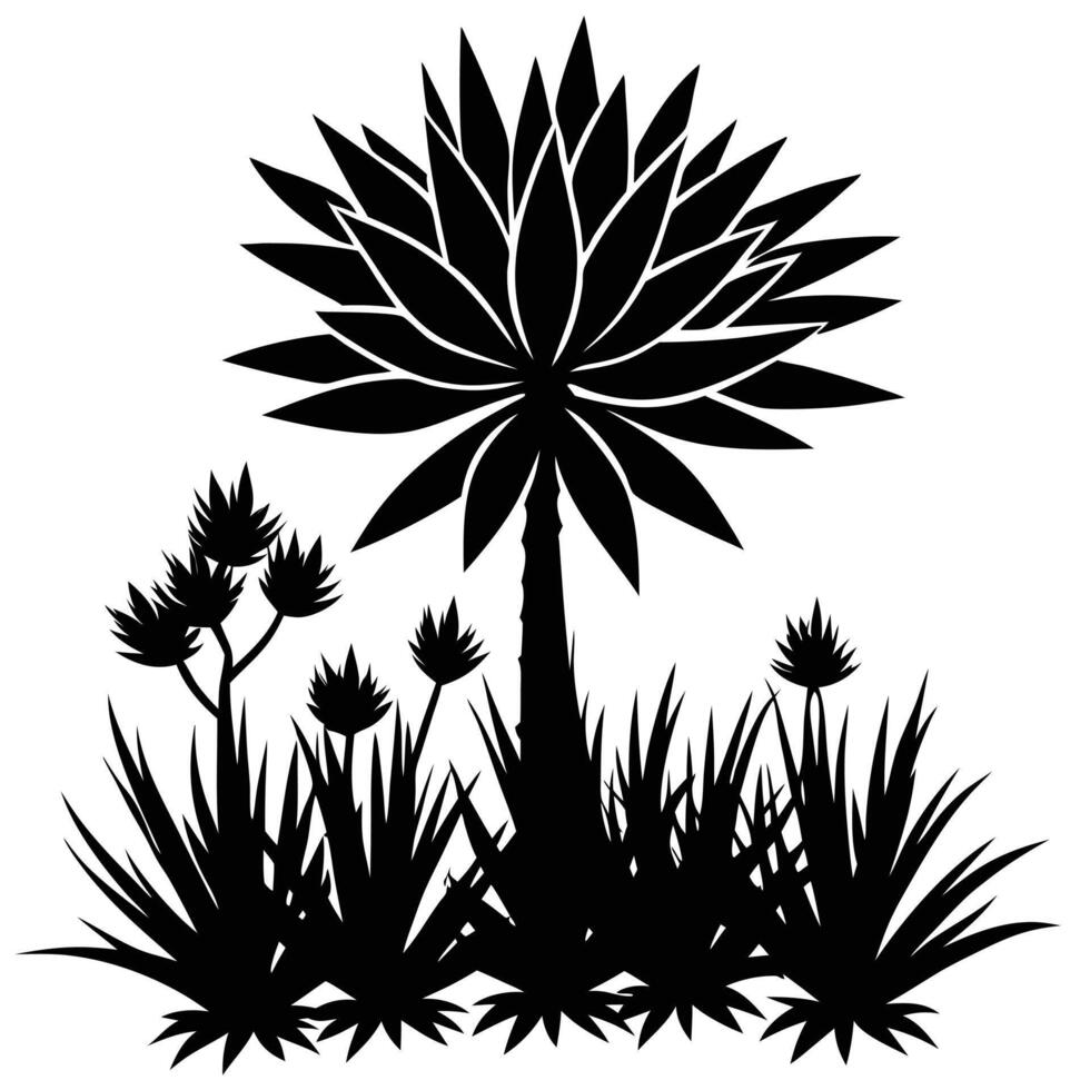 Agave plant silhouette scene in black and white graphics design vector