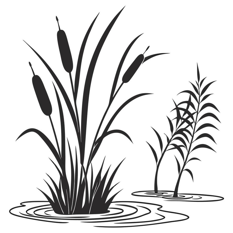 Silhouette cattails and water reeds illustration nature graphic design element vector