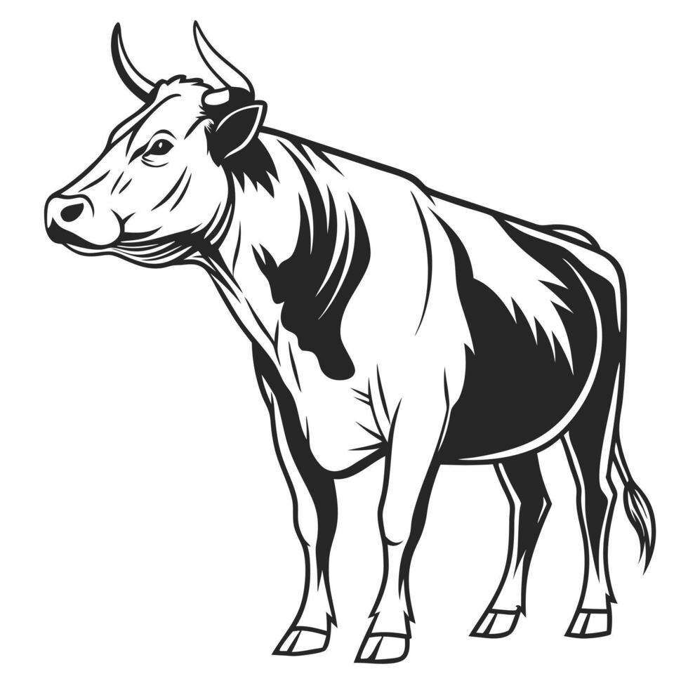 Monochrome illustration of a cow standing boldly on a white background vector