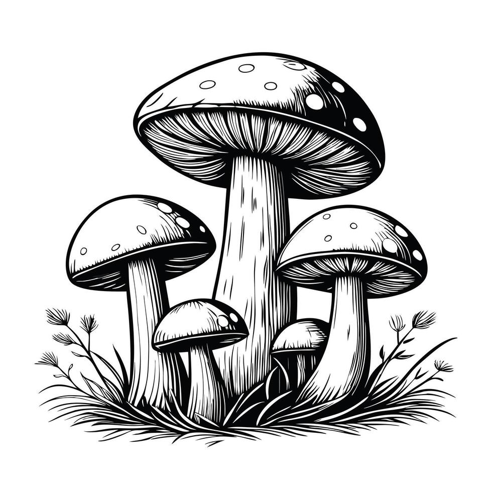 Monochrome fungus grouping with intricate line work and detailed grass vector
