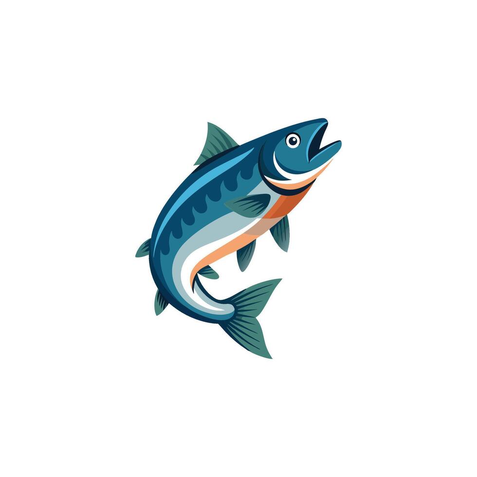 Freshwater Salmon Fish Drawing on White Background vector
