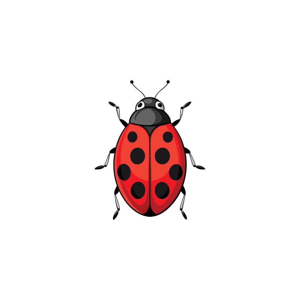 Red Dot Charm Ladybug Illustration Design vector